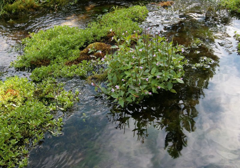 Cool clean water