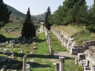 PA032058.jpg