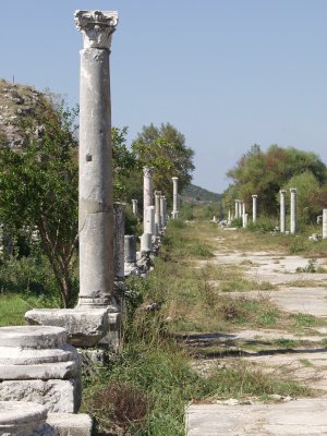 The Harbour Street.jpg