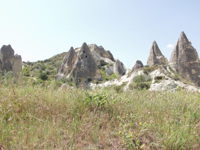 P5184142.jpg