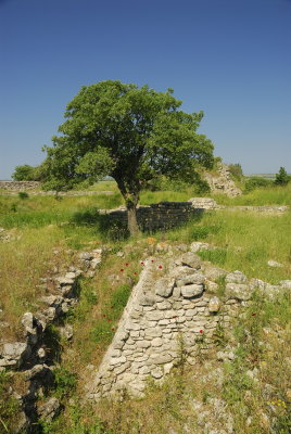 Troy 27.jpg