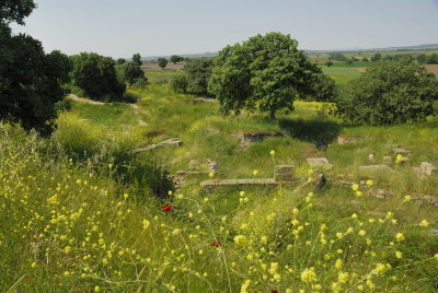 Troy 37.jpg