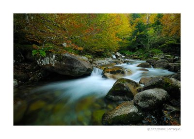 Au fil de l'eau