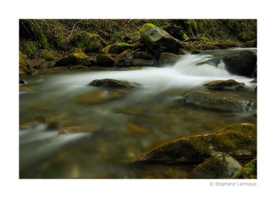 Au fil de l'eau