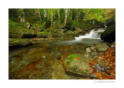 Au fil de l'eau