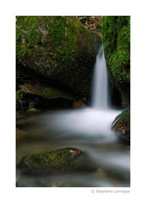 Au fil de l'eau