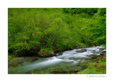 Au fil de l'eau