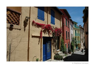 Collioure