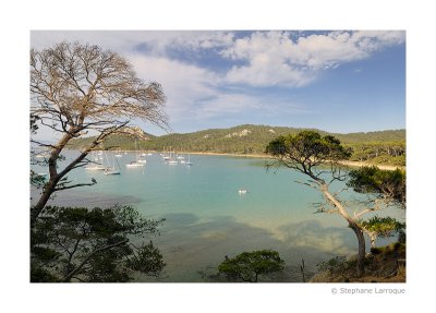 Ile de Porquerolles