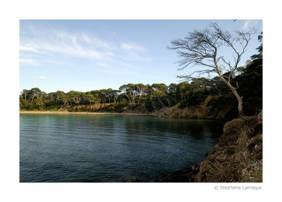 Ile de Porquerolles