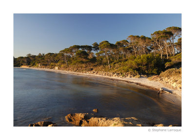 Ile de Porquerolles