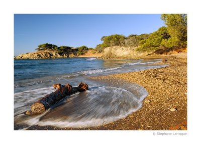 Ile de Porquerolles