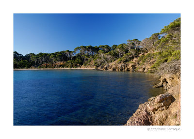 Ile de Porquerolles