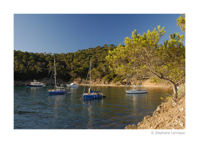 Ile de Porquerolles