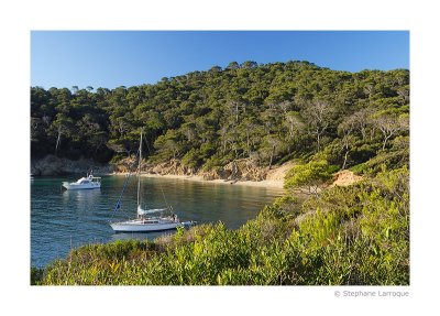 Ile de Porquerolles