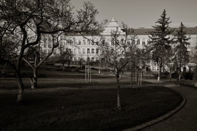 SDIM0115C1WBr.jpg
