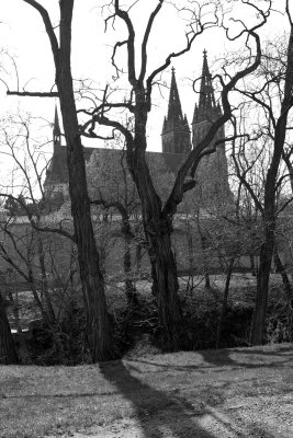 SDIM0658bw.jpg