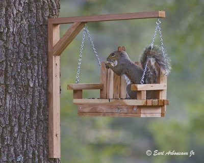 Just Swinging & Eating