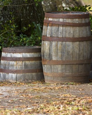 Barrels of Fun