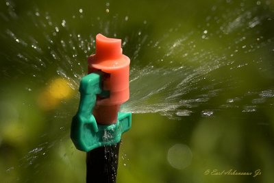 Water Sprinkler Head