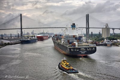 Savannah's Busy Port