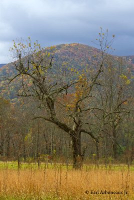 Smoky Mountain National Park