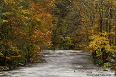 Smoky Mountain National Park