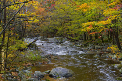 Smoky Mountain National Park