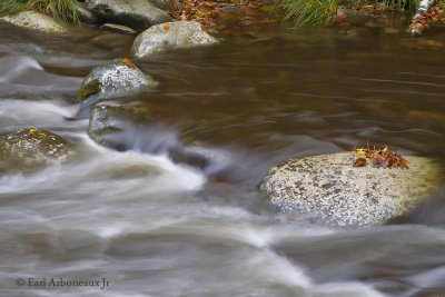 Smoky Mountain National Park