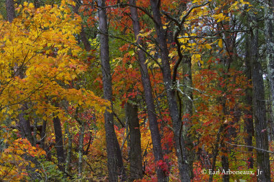 Smoky Mountain National Park