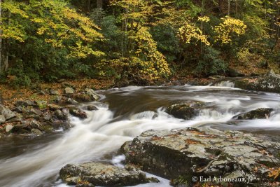 Smoky Mountain National Park