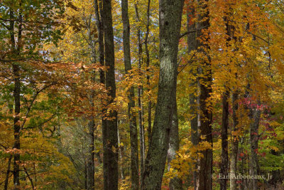 Smoky Mountain National Park