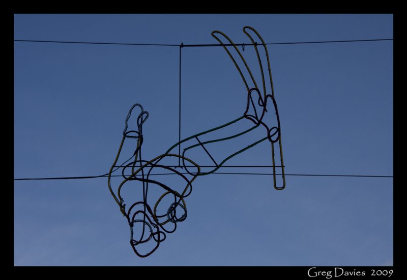 Skier Display