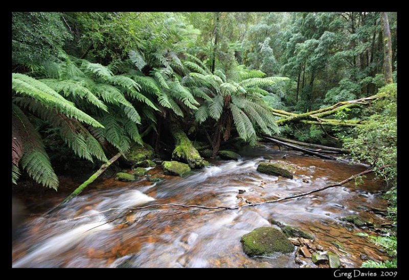 Nelson River