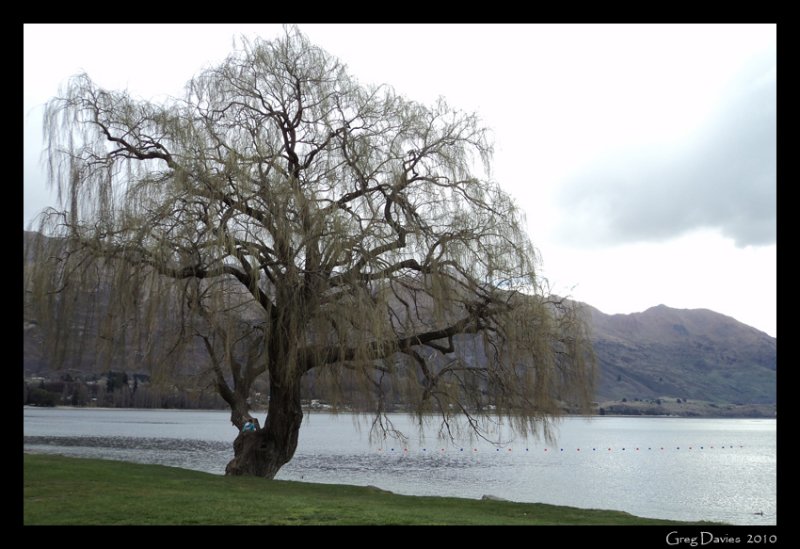 Wanaka Waterfront