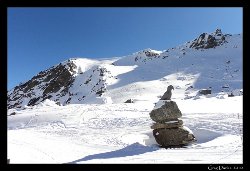 Remarkables Sculpture