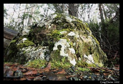 Colourful Rock