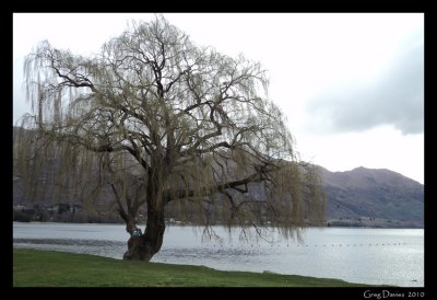 Wanaka Waterfront