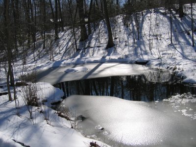 frozen pond.jpg
