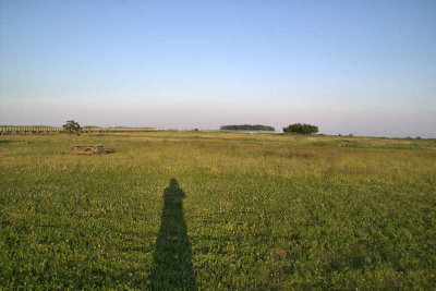 Shoreline Grasslands