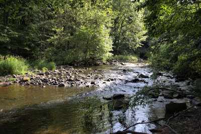 Ripples in a Babbling Brook