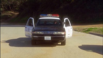 PDVD_001.jpg