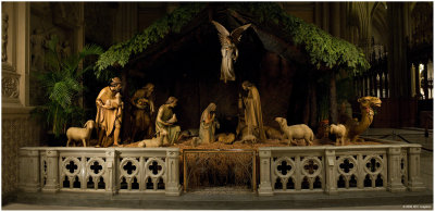 The Nativity Scene at Saint Patricks Cathedral 2008