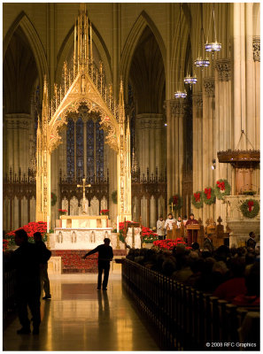 Sunday Mass at Saint Patrick's Cathedral - The Collection