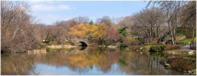 Springtime at the Pond