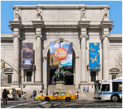 American Museum of Natural History  1