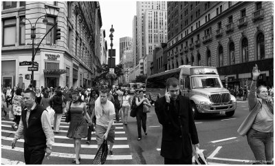 NYC Crosswalks