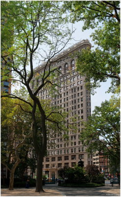 Flatiron From Madison Square Park
