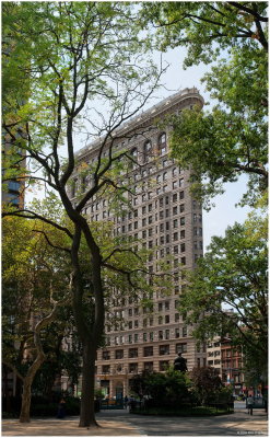 Flatiron From Madison Square  Park