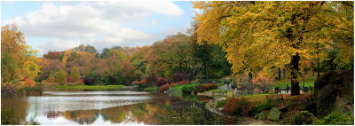 Autmn at The Pond